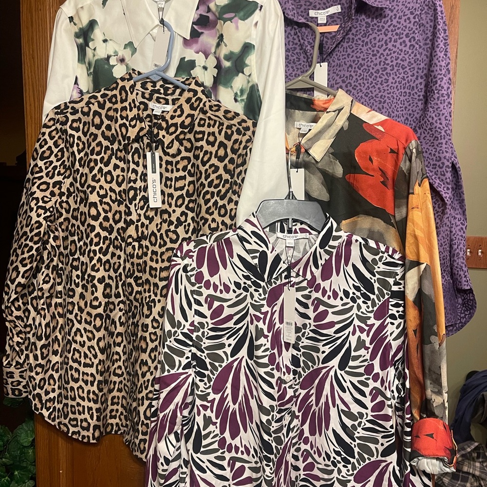 5 chicos blouses size 12 Collection